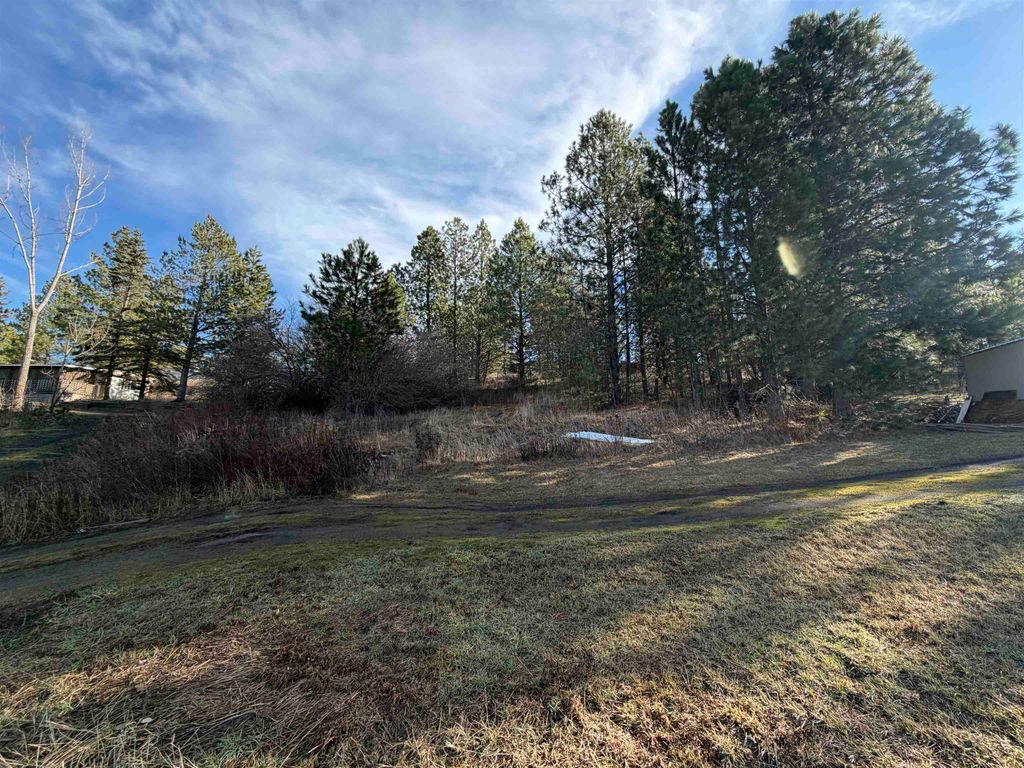 NKA E Stringham Rd, Rockford, WA 99030 photo 2