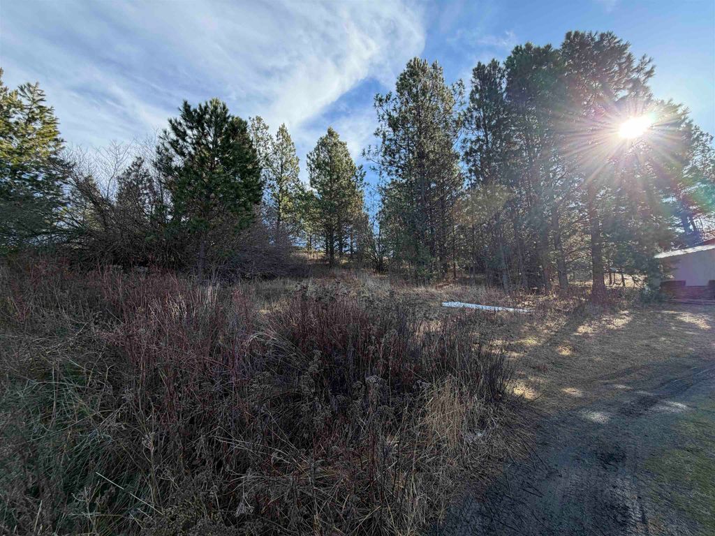 NKA E Stringham Rd, Rockford, WA 99030 photo 3