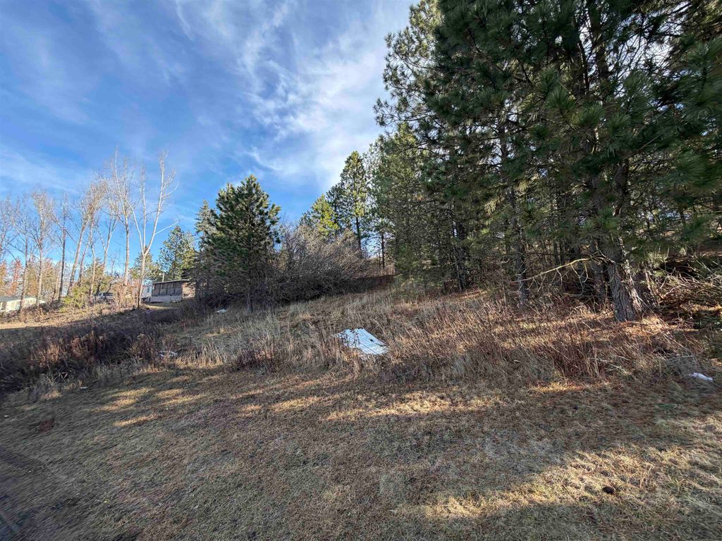 NKA E Stringham Rd, Rockford, WA 99030 photo 4