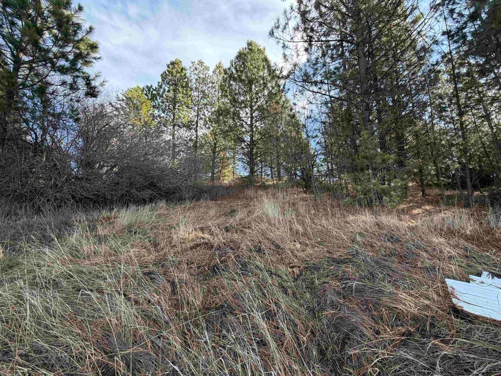 NKA E Stringham Rd, Rockford, WA 99030 photo 5