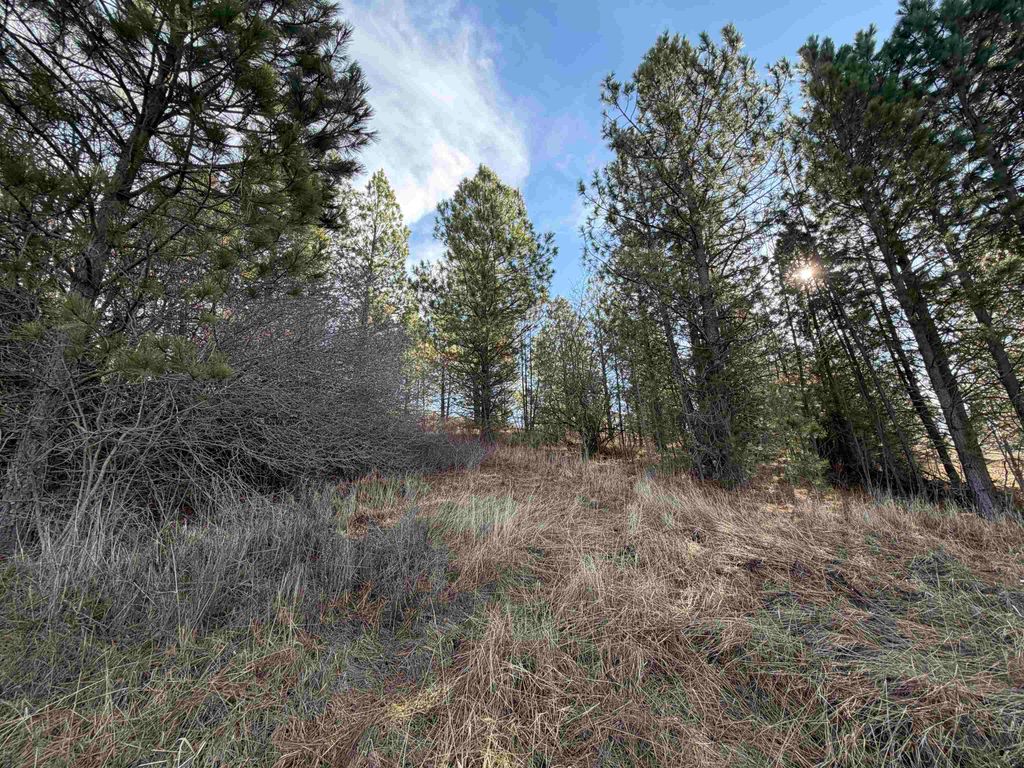 NKA E Stringham Rd, Rockford, WA 99030 photo 6