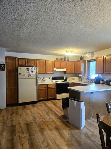 7887 Randolph Street, Vanderbilt, MI 49795