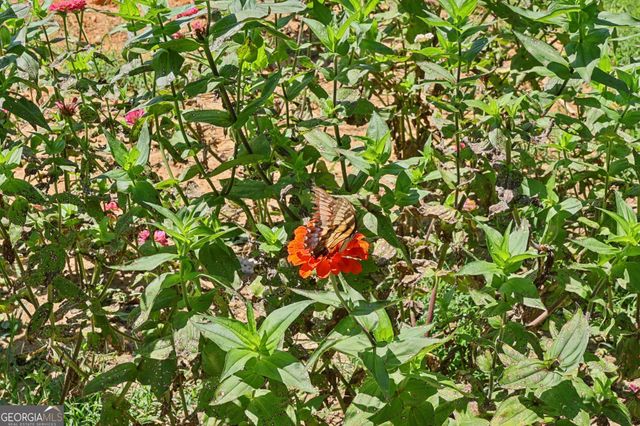 250 Stagecoach Road, Oxford, GA 30054