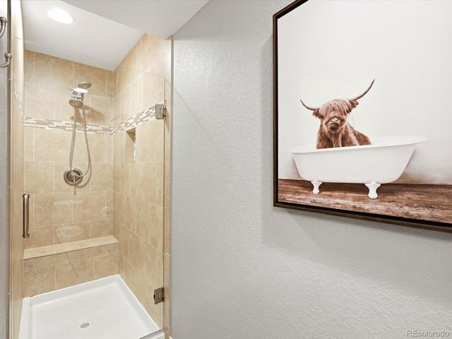4579 Broadview Court, Castle Rock, CO 80109