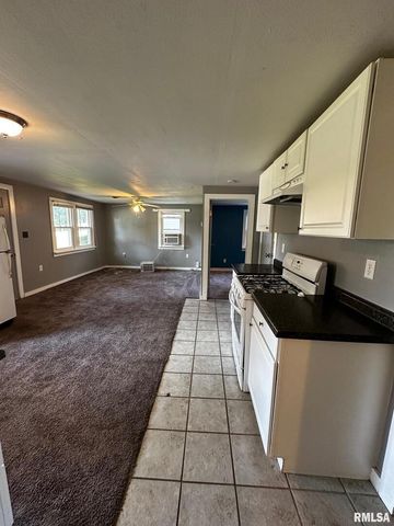 920 5TH Street, Colona, IL 61241