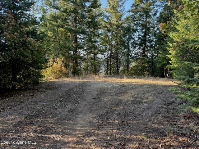 Lot 9 E Squaw Spur Rd., Harrison, ID 83833