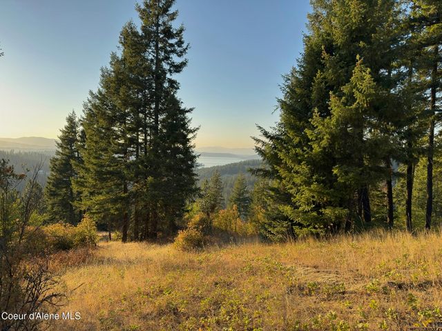 Lot 9 E Squaw Spur Rd., Harrison, ID 83833