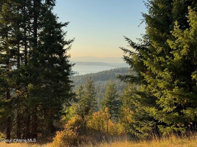 Lot 9 E Squaw Spur Rd., Harrison, ID 83833