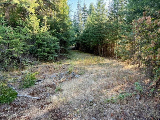 Lot 9 E Squaw Spur Rd., Harrison, ID 83833