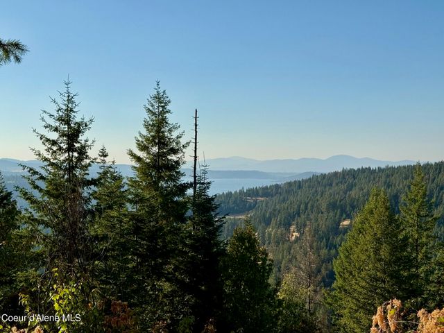 Lot 9 E Squaw Spur Rd., Harrison, ID 83833