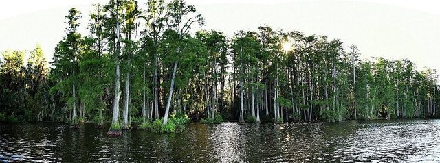 2014 BATES AVENUE, Eustis, FL 32726