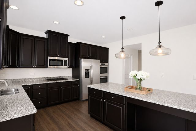 864 Blue Aster Parkway, Gilberts, IL 60136