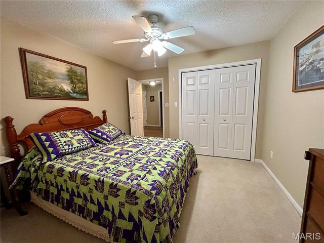 302 E Green Tree Lane E, Farmington, MO 63640
