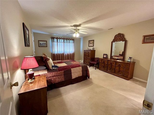 302 E Green Tree Lane E, Farmington, MO 63640