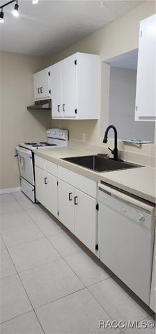 1164 N Lion Cub Point, Lecanto, FL 34461