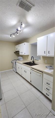 1164 N Lion Cub Point, Lecanto, FL 34461