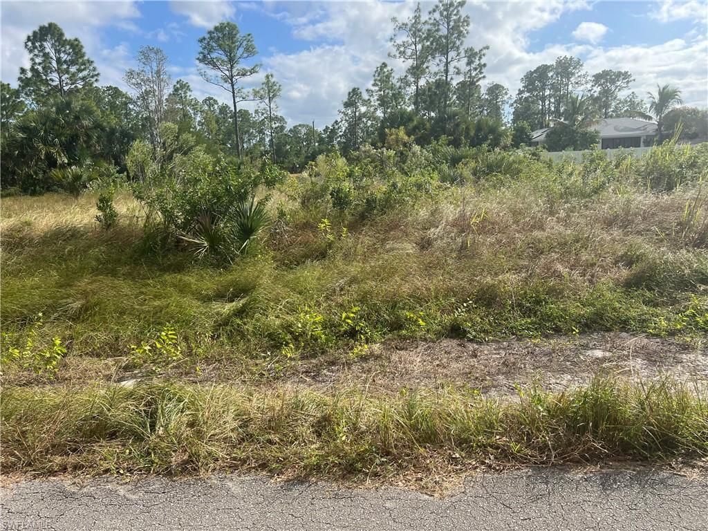 716 Chambers ST E, LEHIGH ACRES, FL 33974 — exterior