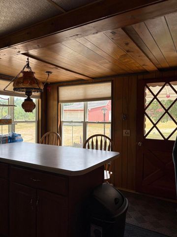 22347 5 Mile Road, Aetna Twp, MI 49336