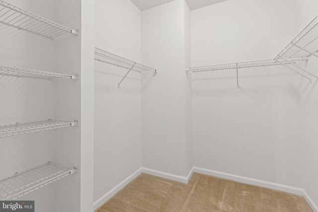 7965 TRAILVIEW XING, Glen Burnie, MD 21060