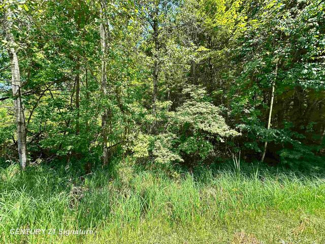 VL Pinconning Road, Billings Twp, MI 48612