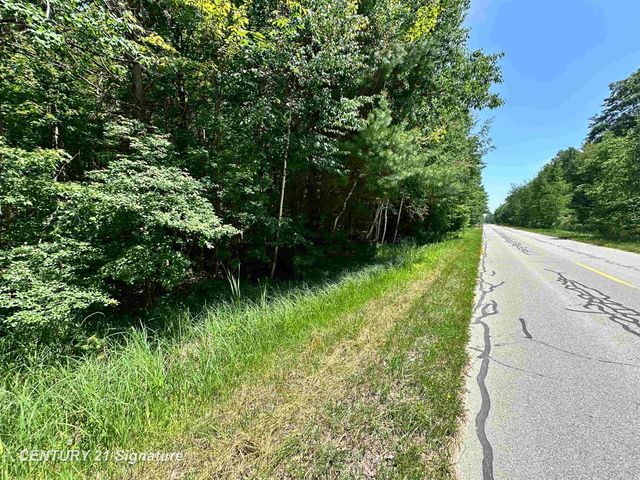 VL Pinconning Road, Billings Twp, MI 48612