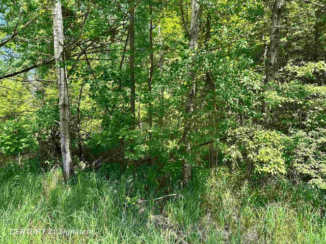 VL Pinconning Road, Billings Twp, MI 48612