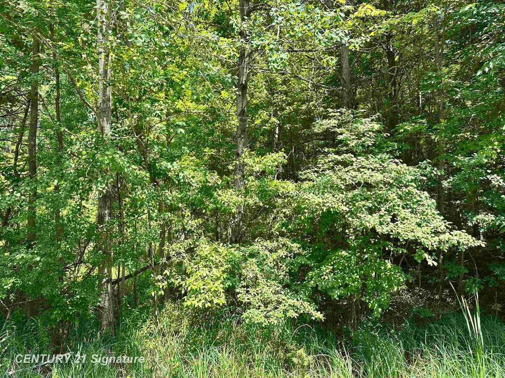 VL Pinconning Road, Billings Twp, MI 48612