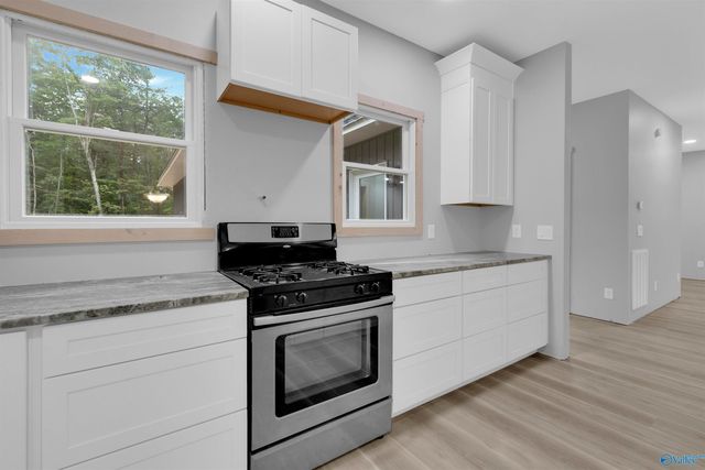 299 Road 9006, Mentone, AL 35967