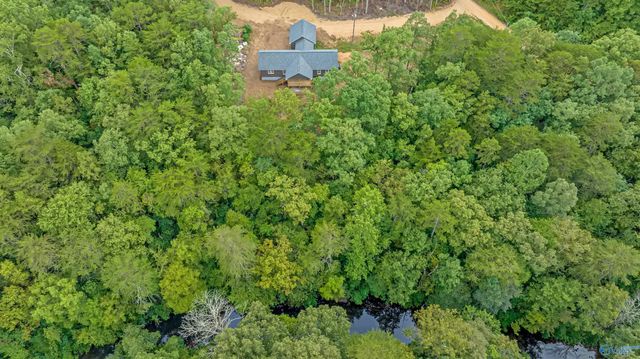 299 Road 9006, Mentone, AL 35967