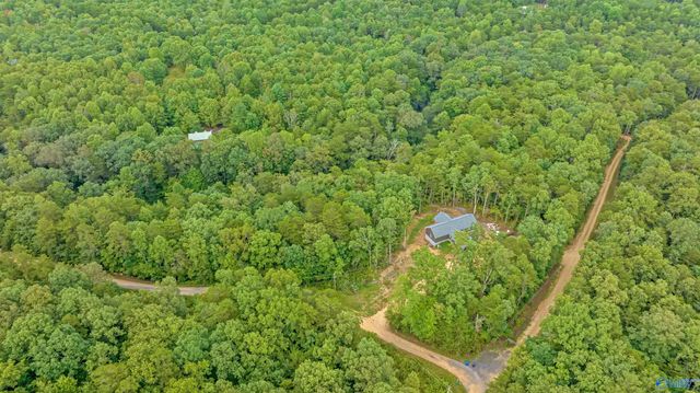 299 Road 9006, Mentone, AL 35967