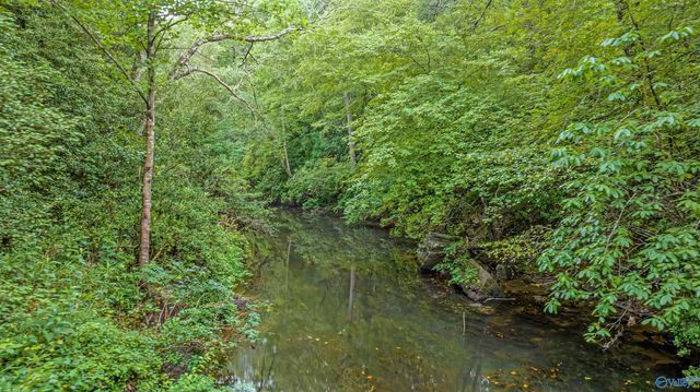 299 Road 9006, Mentone, AL 35967