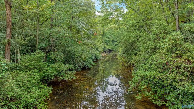 299 Road 9006, Mentone, AL 35967