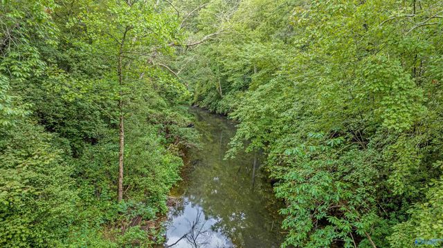 299 Road 9006, Mentone, AL 35967