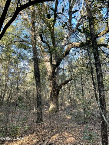 0000 Bent Oaks Road, Chipley, FL 32428