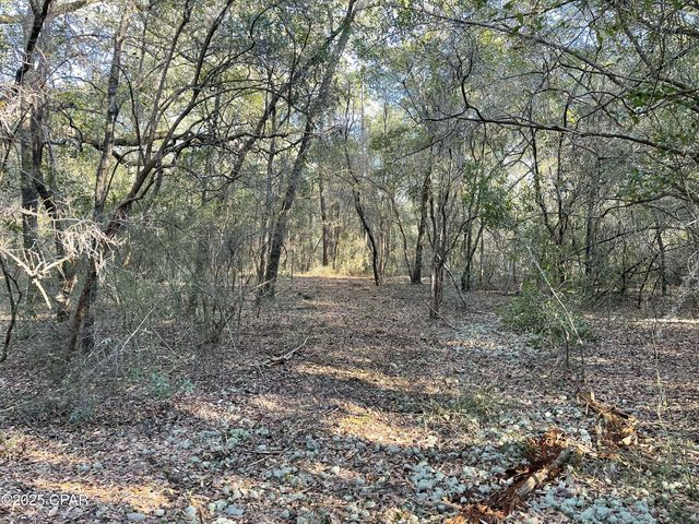 0000 Bent Oaks Road, Chipley, FL 32428