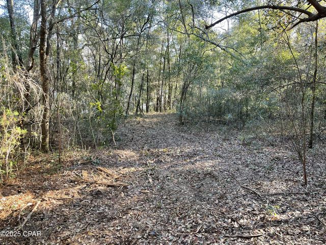 0000 Bent Oaks Road, Chipley, FL 32428