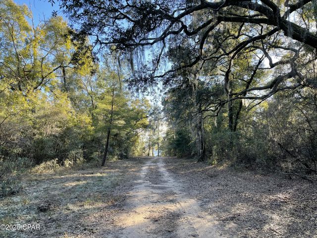 0000 Bent Oaks Road, Chipley, FL 32428