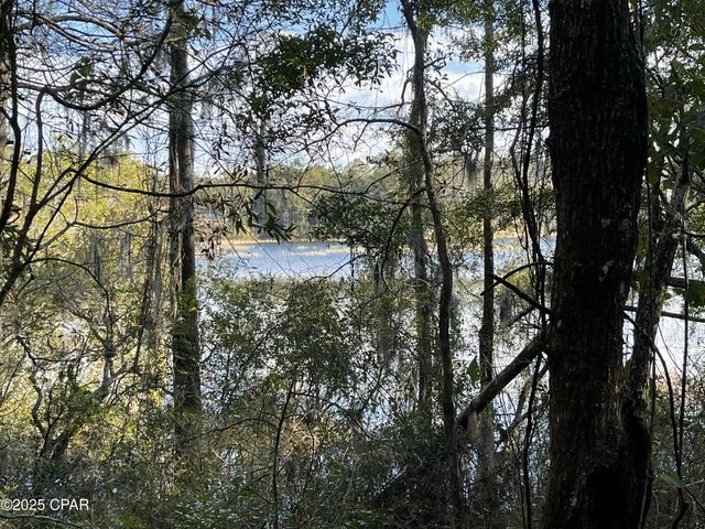 0000 Bent Oaks Road, Chipley, FL 32428