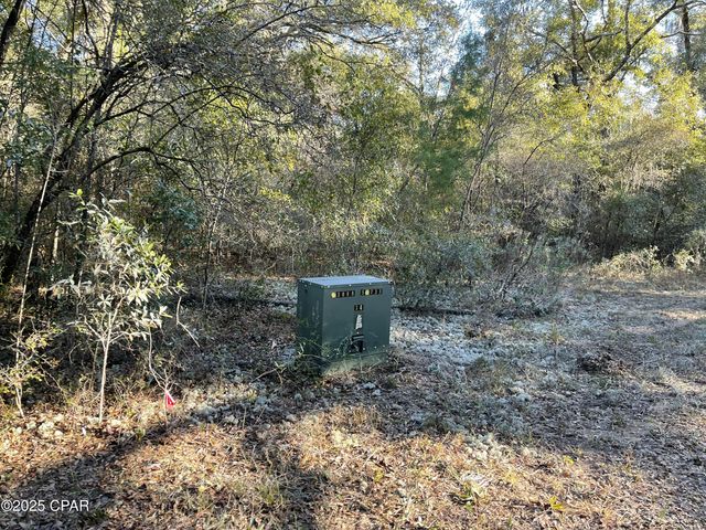 0000 Bent Oaks Road, Chipley, FL 32428
