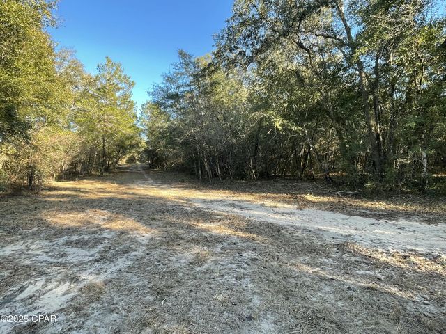0000 Bent Oaks Road, Chipley, FL 32428
