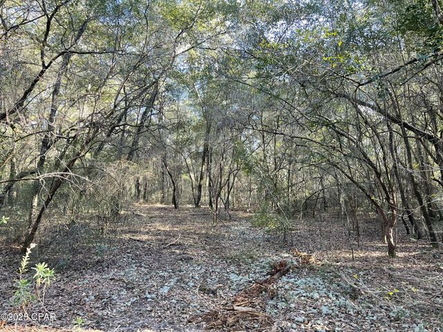 0000 Bent Oaks Road, Chipley, FL 32428