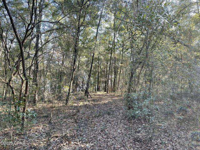 0000 Bent Oaks Road, Chipley, FL 32428