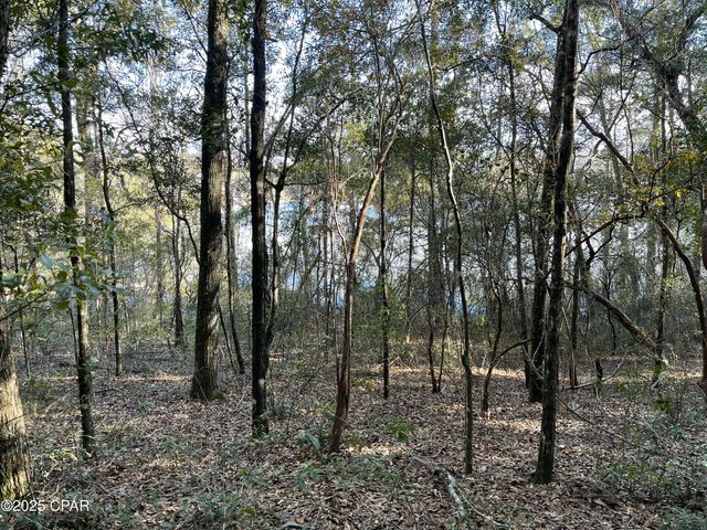 0000 Bent Oaks Road, Chipley, FL 32428