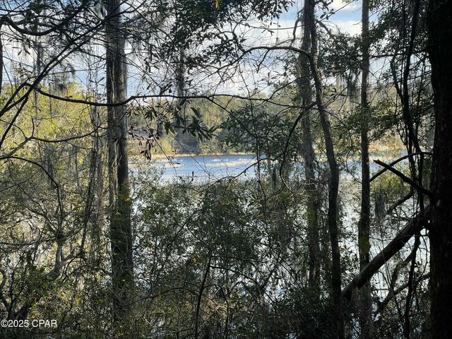 0000 Bent Oaks Road, Chipley, FL 32428