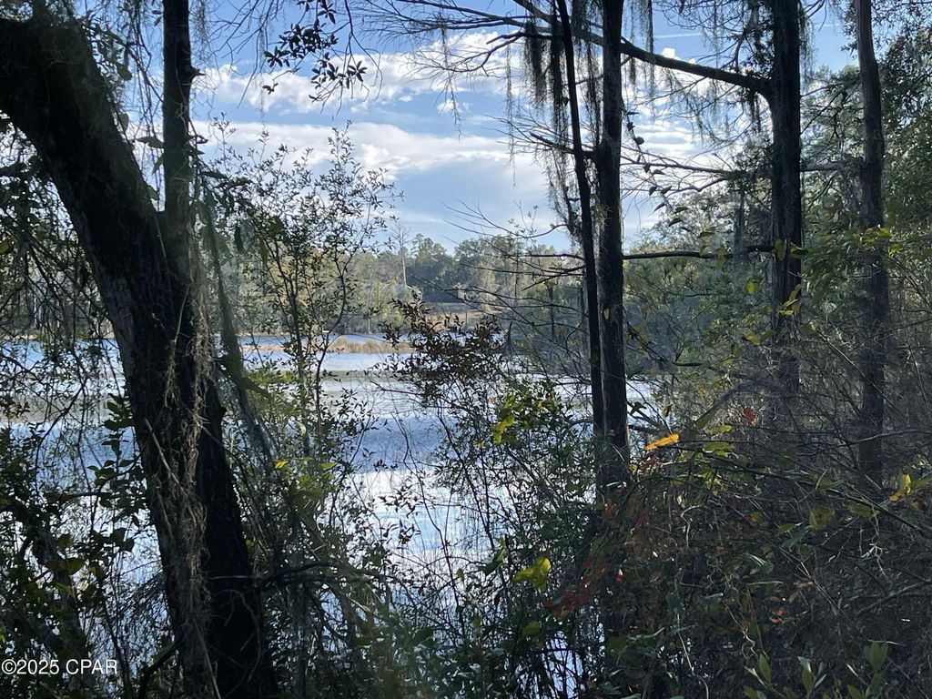 0000 Bent Oaks Road, Chipley, FL 32428