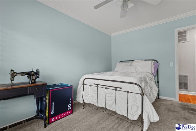 1407 Palmetto dr, Hartsville, SC 29550
