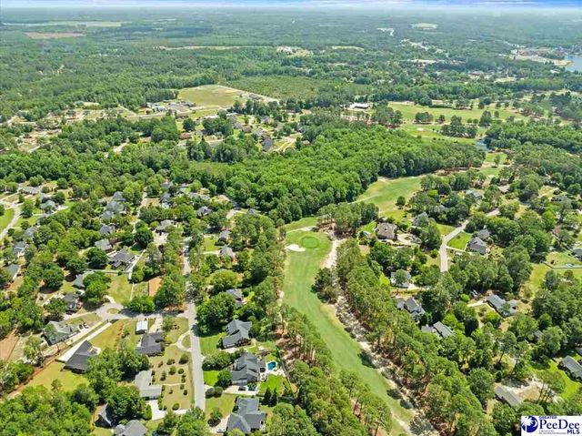 1407 Palmetto dr, Hartsville, SC 29550