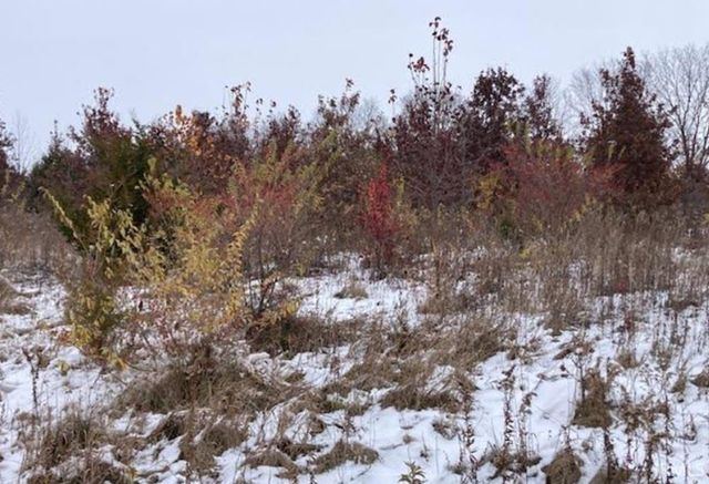 14720 N COUNTY ROAD 175 E, Eaton, IN 47338