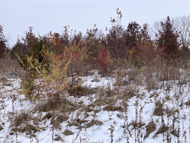 14720 N COUNTY ROAD 175 E, Eaton, IN 47338