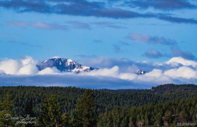 13035 Deer Ridge Way, Larkspur, CO 80118